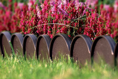 Palisada Obrzeże Ogrodowe IKRA 1000 x 9 cm - Prosperplast