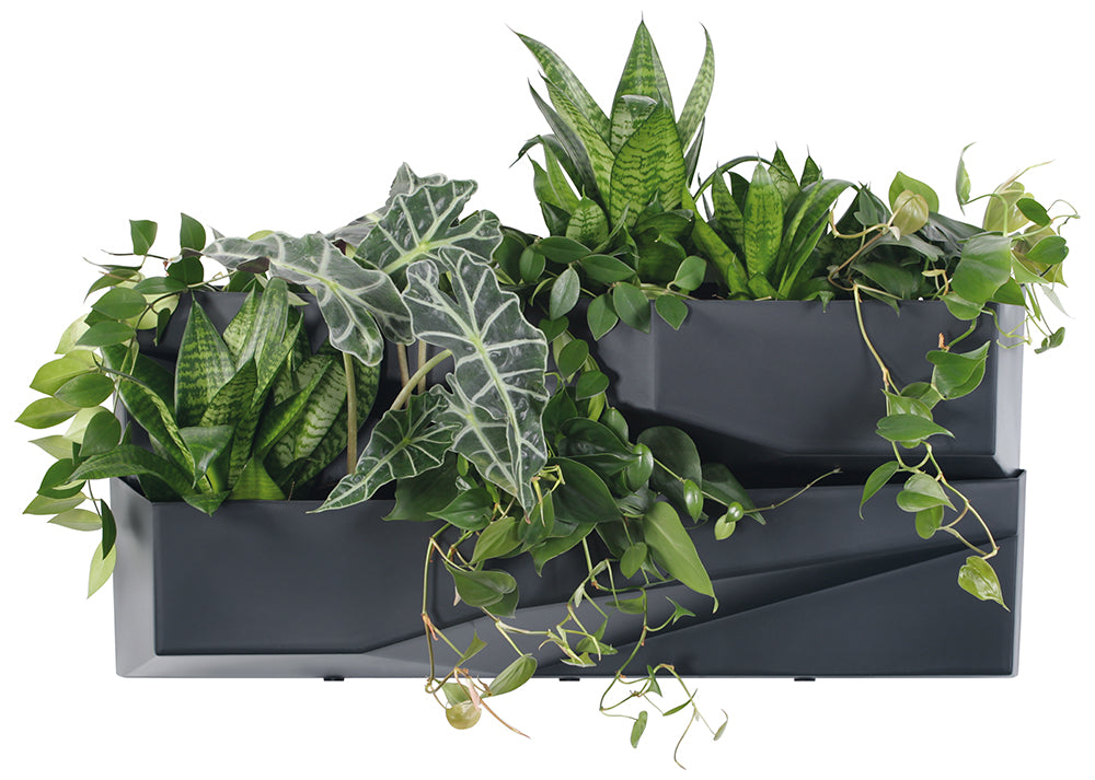 Ogród Wertykalny wiszący doniczka IO3W800 78x19x35cm