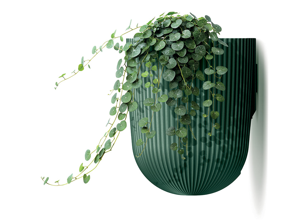 Lilly Wall Planter