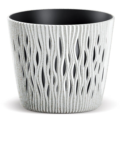 Enredadera Wood Plant