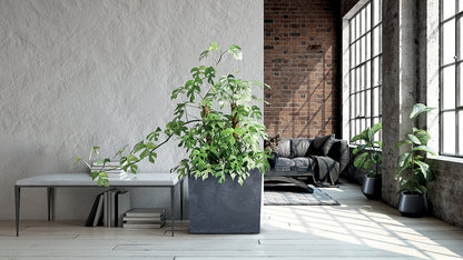 URBI CASE BETON EFFECT 44l Tower planter